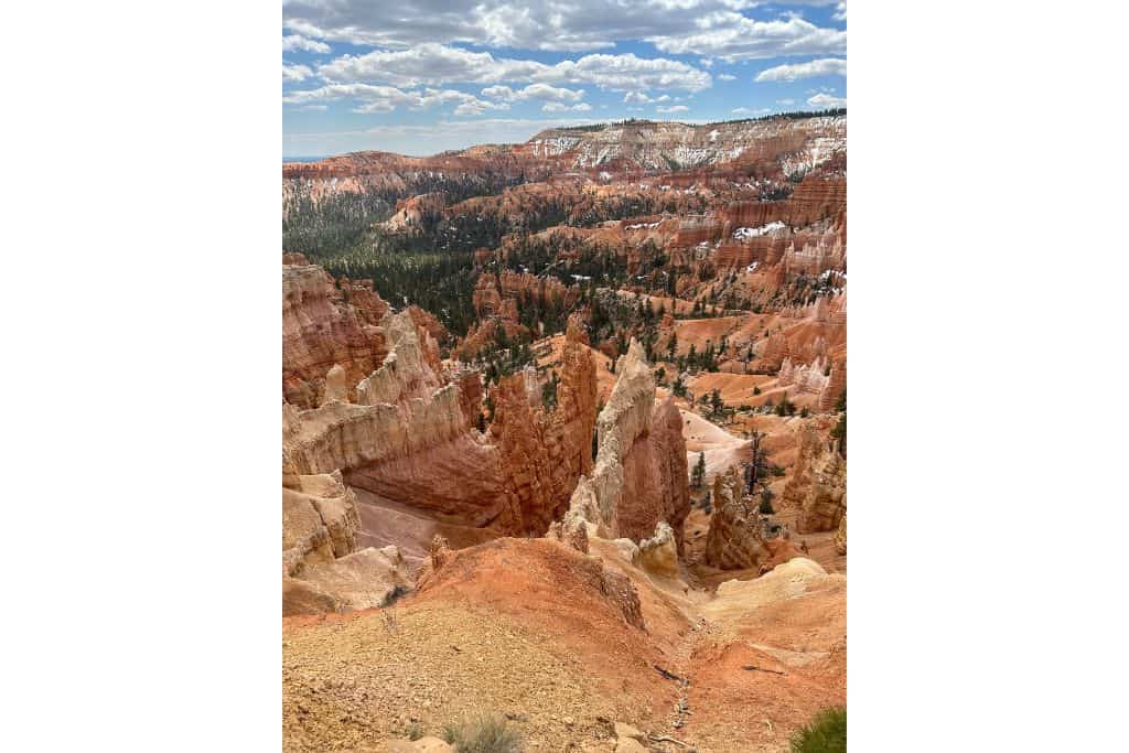 A view into Bryce Canyon