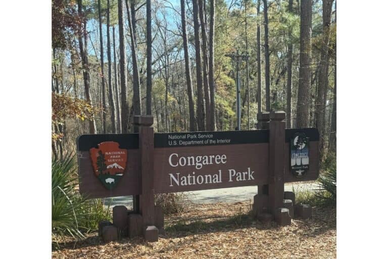 Congaree National Park