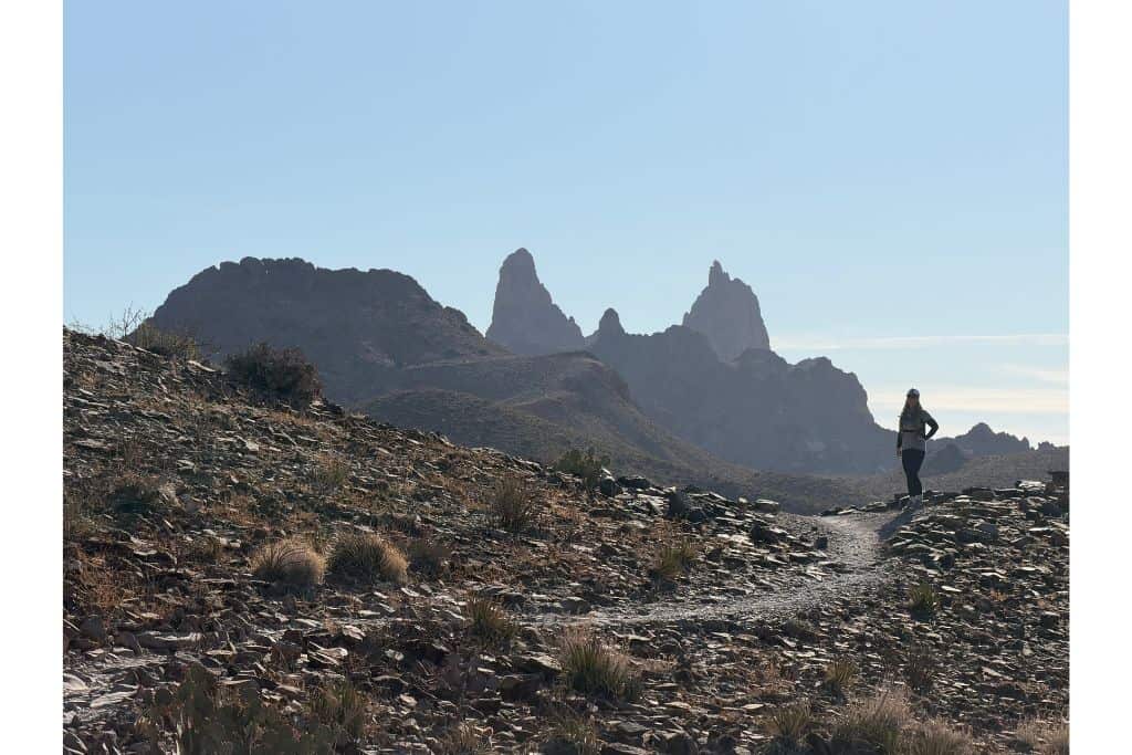 Mules ear rock formation Big Bend 