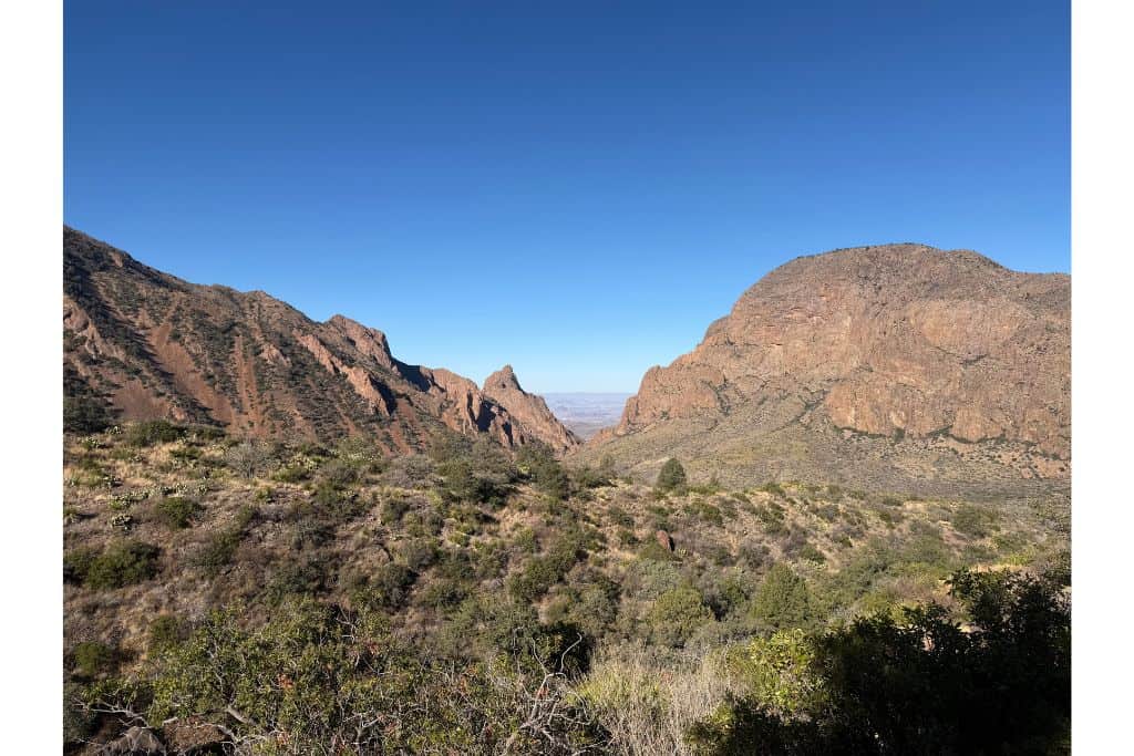 The window view big bend national park