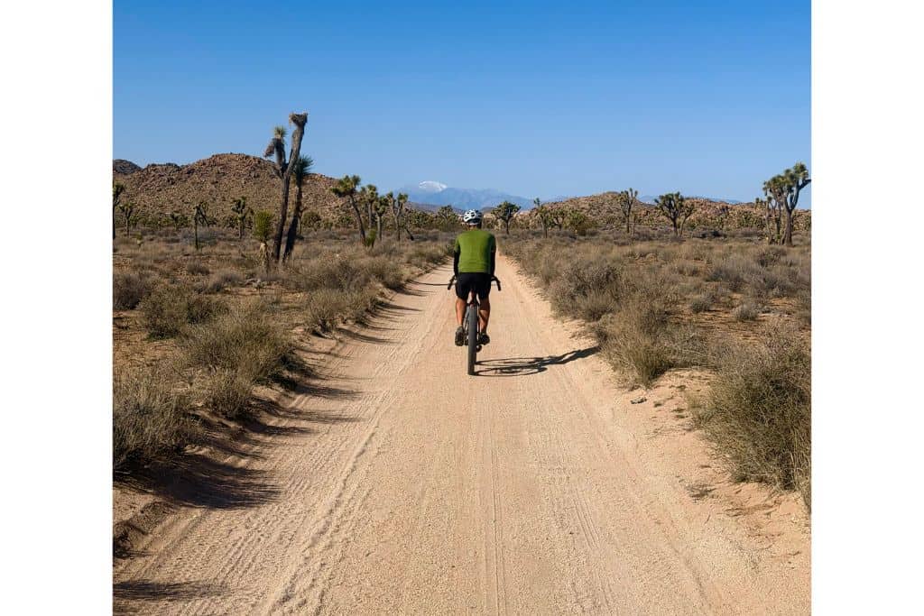 Cyclist on dirt road in Joshua Tree National Park