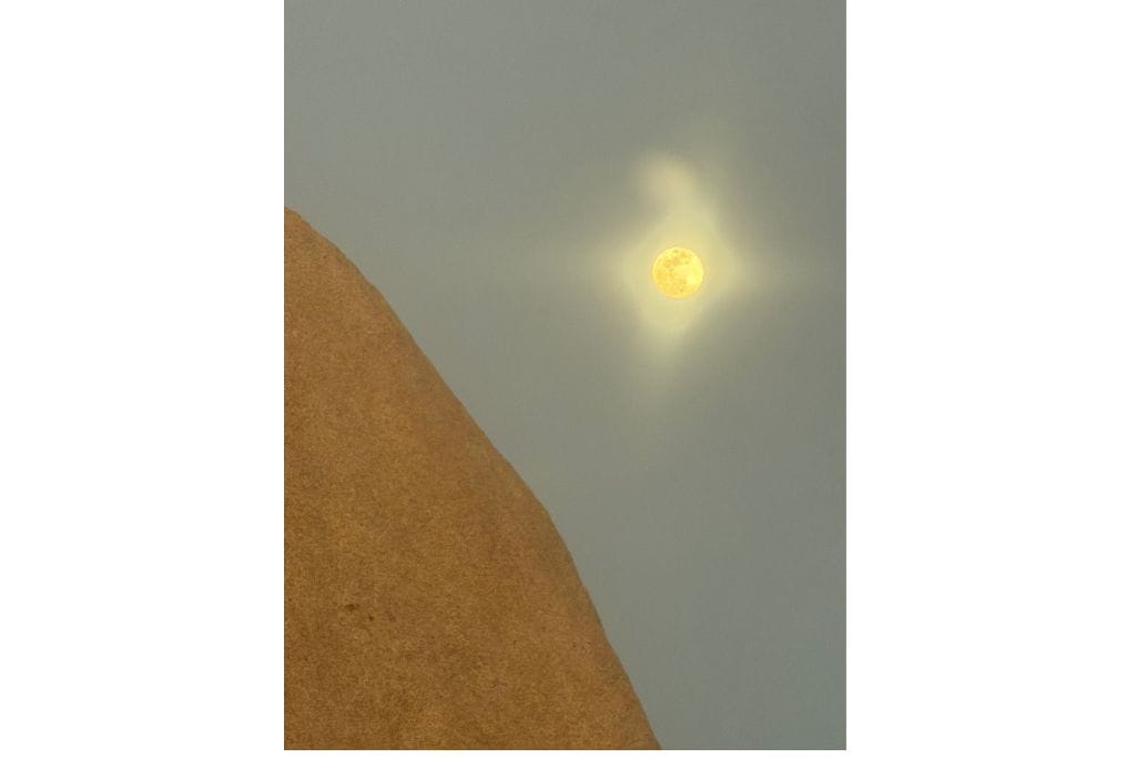 full moon behind Joshua Tree Rock formation
