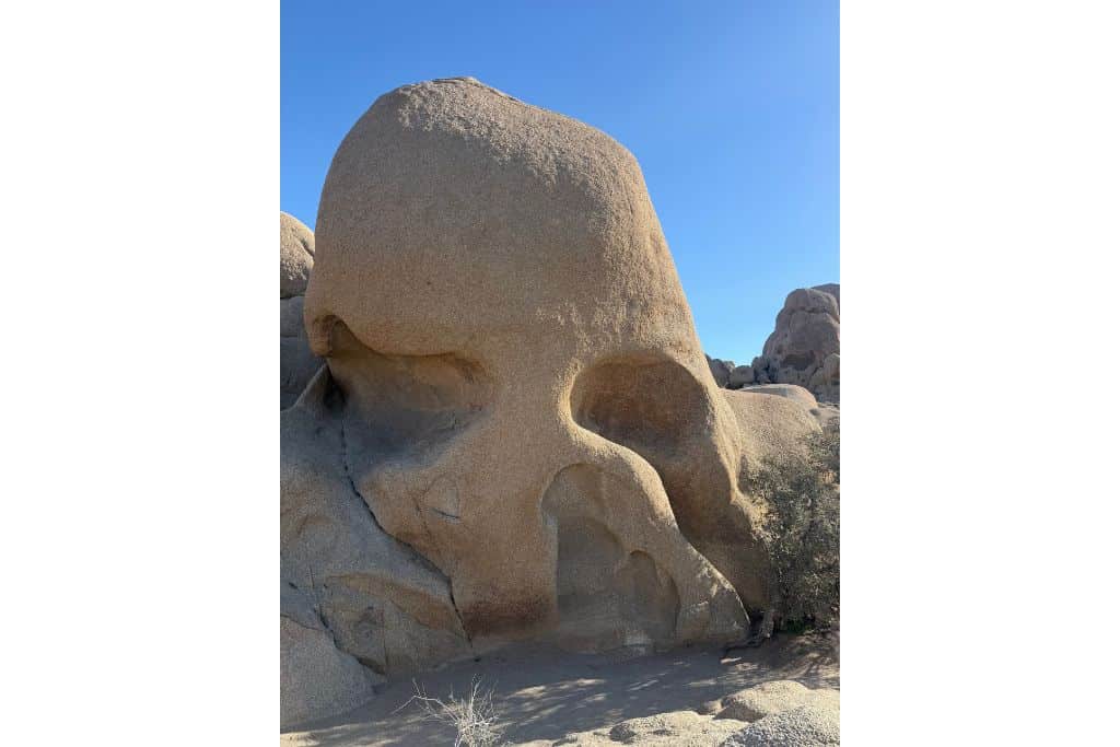 Skull Rock Joshua Tree National Park