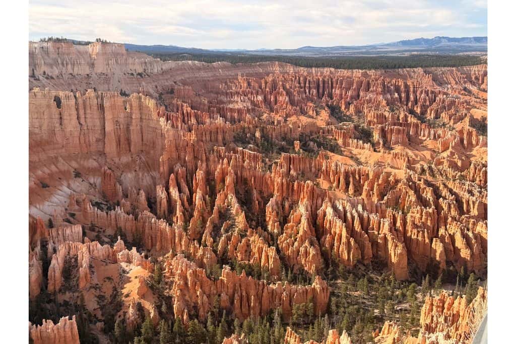 Sandstone hoodoos in Bryce Canyon ampitheater