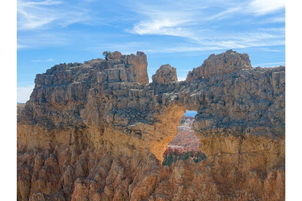 rock formation with small tree on top of window stone