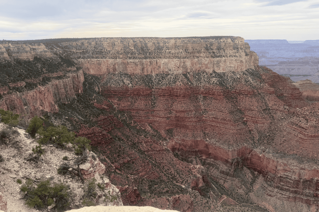 View of the Grand Canyon