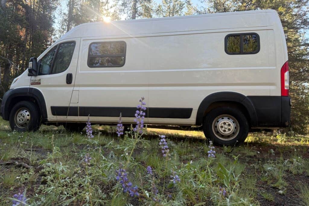 Camper van parked in front of purple flowers