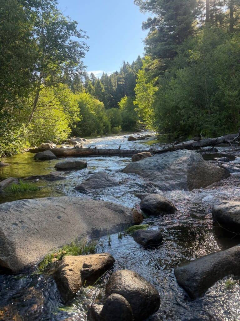 River with large rocks and trees