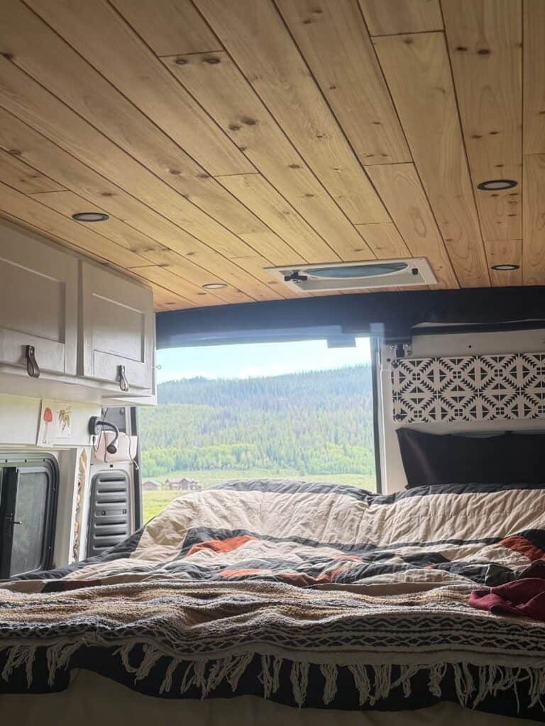 view of trees out the back of a camper van