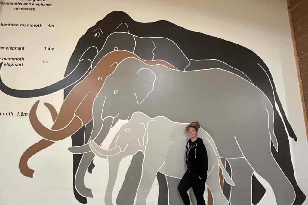 Woman standing by mammoth size chart